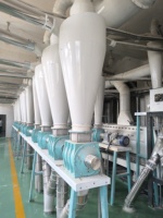 Machine à moudre le blé électrique automatique industrielle avec moteur 380V pour la production de farine, de pain, de pâtes et de nouilles