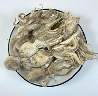 Friandises lyophilisées de calmar Paitei en gros pour chats et chiens - Riches en protéines, sans céréales