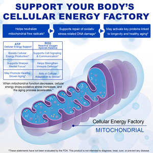 <span class=keywords><strong>C</strong></span>ápsulas de Azul de Metileno de Absorción Mejorada SOLOTREE con Éster de <span class=keywords><strong>Vitamina</strong></span> <span class=keywords><strong>C</strong></span> Añadido para Mejorar la Energía Celular - Product Image 3
