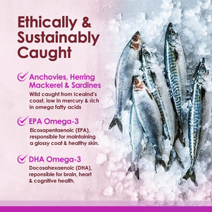 Pure Omega 3 Óleo de Peixe Cápsulas para Cães-Wild-Caught Islândia Proveniente Rápida Absorção Suporte Imunológico Vitaminas Minerais Saúde da pele - Product Image 4
