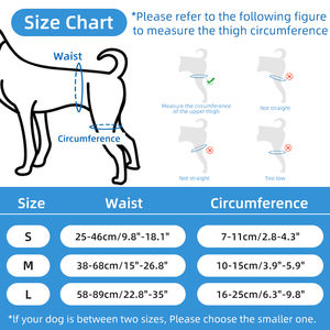 Rodillera Original <span class=keywords><strong>para</strong></span> perro, <span class=keywords><strong>correa</strong></span> <span class=keywords><strong>de</strong></span> corrección auxiliar <span class=keywords><strong>para</strong></span> articulación <span class=keywords><strong>de</strong></span> cadera, equipo <span class=keywords><strong>de</strong></span> protección <span class=keywords><strong>para</strong></span> mascotas, suministros <span class=keywords><strong>de</strong></span> entrenamiento <span class=keywords><strong>de</strong></span> soporte <span class=keywords><strong>para</strong></span> articulaciones <span class=keywords><strong>de</strong></span> piernas traseras - Product Image 5
