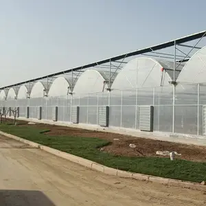 Commercio all'ingrosso di plastica pellicola agricoltura multi span serra agricoltura prodotto pomodori