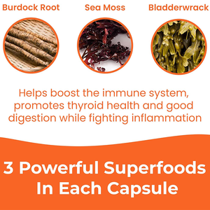 แคปซูลสมุนไพรออร์แกนิกวีแกน 100% ซีมอส แอดวานซ์  แคปซูลซีมอสออร์แกนิกแบบดิบ ขายส่ง - Product Image 3