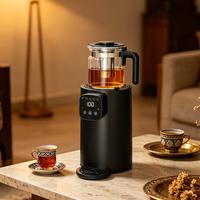 Samovar Électrique Personnalisé pour Thé Turc, Nouveau Modèle sur Demande, Bouilloire en Verre pour Infusion de Thé, Fournisseur Zhongshan, Commandes OEM