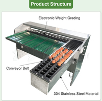 Hoge Kwaliteit Ei Sorteerder Sizer Classificator Eend Ei Gewicht Grader Machine Ganzenei Sortering Kaarsmachine