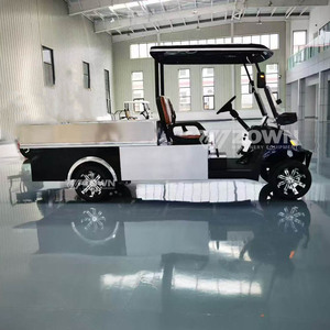 Voiturette de golf électrique personnalisée à 2 places avec moteur, batterie au lithium, mini camionnette tout-terrain pour usage hôtelier - Product Image 5