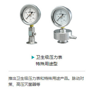 Manomètre Ebara Sac San Sam Sach de type diaphragme pour usage industriel - Product Image 4