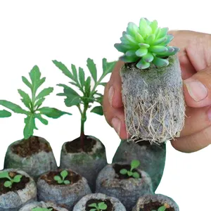 أكياس النباتات غير المنسوجة القابلة للتحلل الحيوي أكياس نمو النباتات الصلبة إصيصات شتلات النباتات كيس النباتات