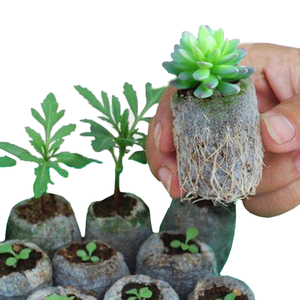 Bolsas <span class=keywords><strong>de</strong></span> Cultivo Biodegradables <span class=keywords><strong>de</strong></span> <span class=keywords><strong>Tela</strong></span> No Tejida <span class=keywords><strong>para</strong></span> Viveros, Bolsas <span class=keywords><strong>de</strong></span> Cultivo <span class=keywords><strong>para</strong></span> <span class=keywords><strong>Plantas</strong></span>, Macetas <span class=keywords><strong>de</strong></span> <span class=keywords><strong>Tela</strong></span> <span class=keywords><strong>para</strong></span> Plántulas, Bolsas <span class=keywords><strong>para</strong></span> <span class=keywords><strong>Plantas</strong></span> Suculentas - Product Image 1