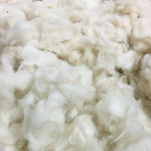 100% blanqueado Peine Noil precio negociable Material de relleno de algodón crudo directo de la Sra. Claire para hilanderos - Product Image 1