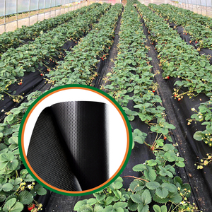 Bâche de jardinage agricole respirante à triple couche, imperméable à l'eau, en PP laminé anti-UV, 60 g/m², 80 g/m², 100 g/m² - Product Image 1