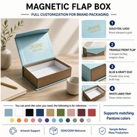 Boîte cadeau rigide à rabat magnétique personnalisée avec logo en feuille d'or, insert en EVA, fermeture magnétique de luxe, emballage en gros