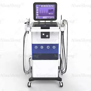 15 inch screen microdermabrasion 12 in 1 aqua facial hydra skin facial cleaning machine multi-function beauty equipment with CE