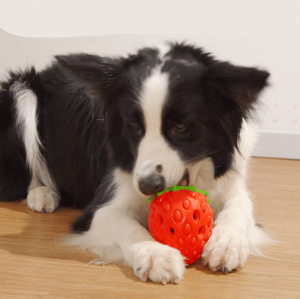 Juguete masticable de fresa divertido de nuevo diseño para perros al por mayor, juguete de goma para limpiar los dientes, respetuoso con el medio ambiente - Product Image 5