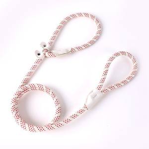 Di lusso Custom forte slittamento corda 2 in 1 resistente Nylon Pet <span class=keywords><strong>Dog</strong></span> Walking allenamento da corsa collare al guinzaglio Set - Product Image 6