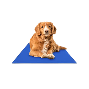 Waschbare Wasserdichte Umweltfreundliche Langlebige Sommer-Kühlgel-Haustiermatte Weiches PVC und Nylon mit Tiermuster für Katzen und Hunde - Product Image 3