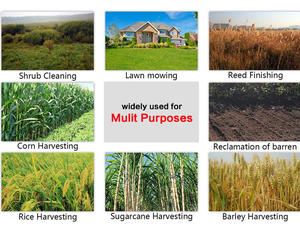 <span class=keywords><strong>Débroussailleuse</strong></span> à essence H541 la plus populaire – Coupe-herbe professionnel à moteur thermique - Product Image 4