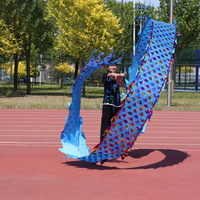 Vente en gros de fitness coloré 6m 8m Enfants adultes Performance de danse du dragon Streamer Dragon Activités de groupe Jouets de sport d'extérieur