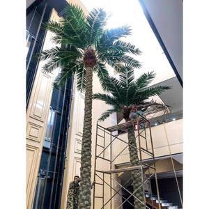 Vv376 Palmiers artificiels d'extérieur de haute qualité <span class=keywords><strong>Phoenix</strong></span> canariensis <span class=keywords><strong>Prix</strong></span> des palmiers <span class=keywords><strong>Phoenix</strong></span> canariensis <span class=keywords><strong>Prix</strong></span> des palmiers Washingtonia - Product Image 6
