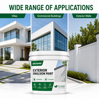 Peinture murale extérieure au latex TC pour façades de bâtiments et rénovation de maisons Couleurs et emballages personnalisés