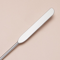 Fond de teint professionnel en acier inoxydable et crème liquide mélange spatule grattoir maquillage outils cosmétiques