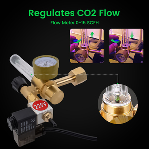 Regulador de <span class=keywords><strong>CO2</strong></span> de metal para jardines Equipo esencial de suministro de jardín - Product Image 5