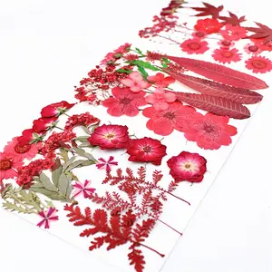 E-2944 DIY Закладка для книги капельного мобильный телефон оболочки ботанический образца красный цветок поле сушенный цветочный пакет с тиснением материал упаковки