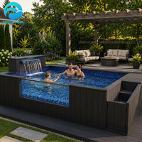 Piscine Spa Moderne 20ft 40ft Grande Capacité avec Jacuzzi, Carreaux Mosaïque Composites Durables, Conteneur en Fibre de Verre Hors Sol