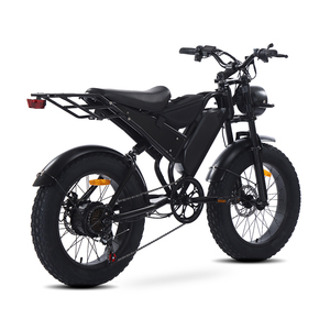 하이브리드 Ebike 팻 타이어 250W 강력한 모터 유압 디스크 브레이크 풀 서스펜션 페달 어시스트 시스템 미국 EU 주식 빠른 배달 - Product Image 1