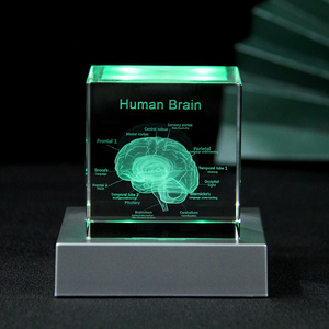 Mô hình giải phẫu não người <span class=keywords><strong>3D</strong></span> Quà Tặng y tế khối pha lê khắc khối thủy tinh não bác sĩ Công ty Dược phẩm quà tặng - Product Image 2