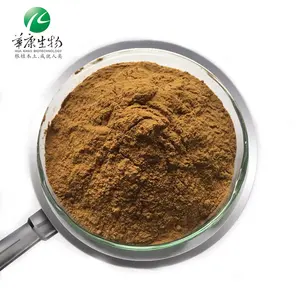 ISO & 정결한 1-5% Harpagosides 악마의 발톱 루트 추출물