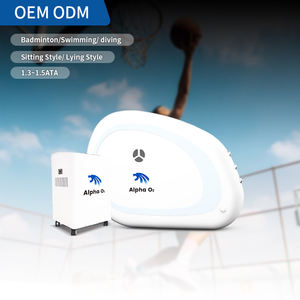 Système BIBS 3 en 1 pour chambre d'oxygénothérapie <span class=keywords><strong>hyperbare</strong></span> 1.5ATA – Vente en gros - Product Image 1