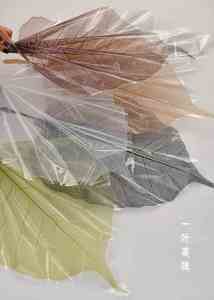 Nouvelle conception 2024, 20 pièces/paquet, papier d'emballage en forme de feuille, papier d'emballage en plastique OPP pour bouquet floral, matériel pour fleuriste - Product Image 4