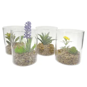 Miniature Artificial Succulent Arrangements In Glass Planter Tabletop Display Vase Potted Indoor Decor Artificial Cactus