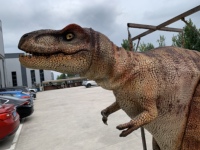 Costume de dinosaure animatronique personnalisé, modèles animatroniques, animatroniques d'Halloween, costume de raptor, costume de T-Rex géant