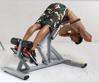 Chaise romaine d'hyperextension pour le bas du dos, équipement d'exercice professionnel avec capacité de charge de 300 kg, machine d'extension dorsale