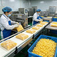 Groothandel Diepvries Dessert Exotische Mango Smaak Diepvries Mango OEM ODM Beschikbaar 10kg Karton Bulkverpakking