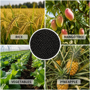 Fertilizante Compuesto Microbiano Orgánico <span class=keywords><strong>NPK</strong></span> 18, Ácido Húmico, Ácido Fúlvico, Aminoácidos, Bacillus, Biofertilizante, Acondicionador de Suelo, Agro Ecológico - Product Image 3