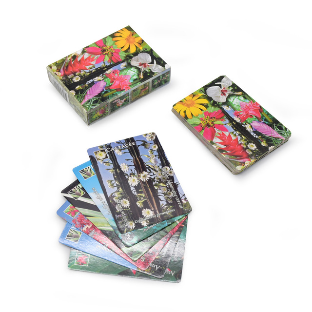 High Quality OEM Eco-Friendly Customized Paper Talking Flash Cards with CMYK/Pantone Printing for Family Use