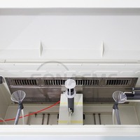 Chambre d'essai de haute qualité pour la corrosion salinale par pulvérisation, test de température et d'humidité, pour les applications électroniques et automobiles
