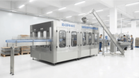 Ingénieur disponible, machine de remplissage de boissons gazeuses en bouteilles de verre 24000BPH avec certification CE pour les usines de boissons industrielles
