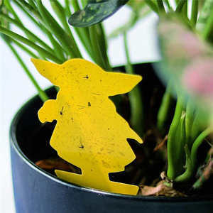 Trampas Adhesivas para Moscas de Doble Cara OEM/ODM, Atrapa Insectos Impermeable con Forma Especial para Uso en Exteriores, Control de Plagas de Mosquitos y Escarabajos - Product Image 4