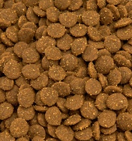 Fabricant d'aliments pour chiens à 26 % de protéines sous marque privée, croquettes pour adultes en gros OEM avec emballage personnalisé