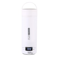 Bouilloire Électrique Portable Universelle en Acier Inoxydable 300W pour Voyage et Usage Domestique, Protection Anti-Ébullition à Sec, Garantie 1 An