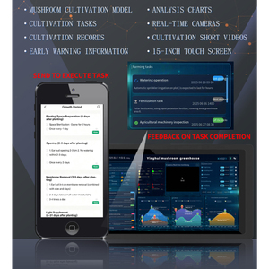 Nấm hệ thống nông nghiệp 20/40ft nấm phát triển container - Product Image 4