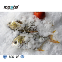 Évaporateur à glace en flocons ICESTA 1t 5t 10t 20t 30t pour eau de mer et eau douce, pour groupe électrogène à glace