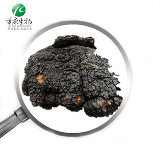 Suministro 30% Polisacáridos Bai <span class=keywords><strong>Hua</strong></span> <span class=keywords><strong>Rong</strong></span> Extracto de hongo Inonotus Obliquus Polvo Extracto de Chaga - Product Image 6