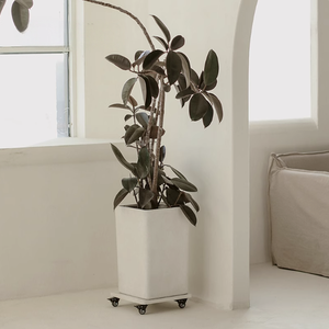 Vuông đơn giản cao sáng tạo loại sàn phòng khách cây xanh magiê nồi đất sét - Product Image 4