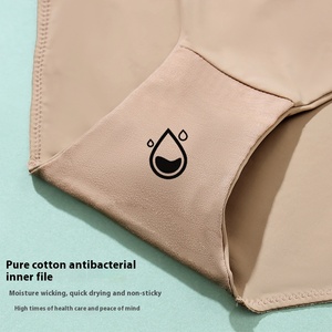 Venta al por mayor de fábrica: Ropa interior de bikini fina de cintura media, antibacteriana, transpirable, sin costuras, de punto, para mujer, talla grande 5XL, para uso diario. - Product Image 4