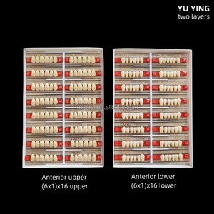 Denti dentali inferiori denti anteriori resina sintetica denti due strati resina acrilica denti - Product Image 6
